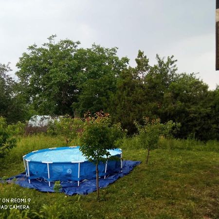 Vila Milica Kraljevo Exteriér fotografie