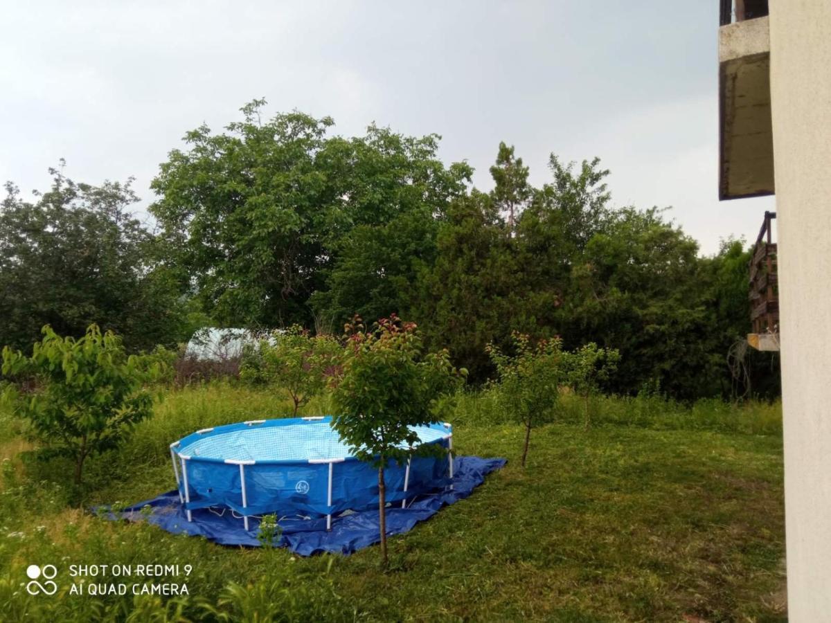 Vila Milica Kraljevo Exteriér fotografie