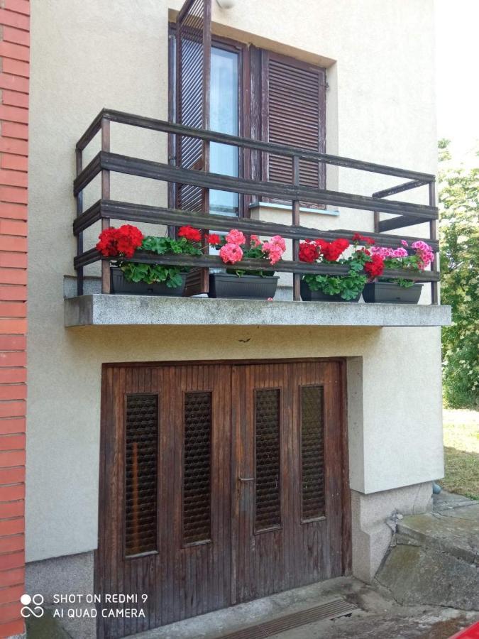 Vila Milica Kraljevo Exteriér fotografie